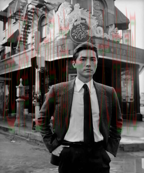 体验尊龙综合版的全面魅力